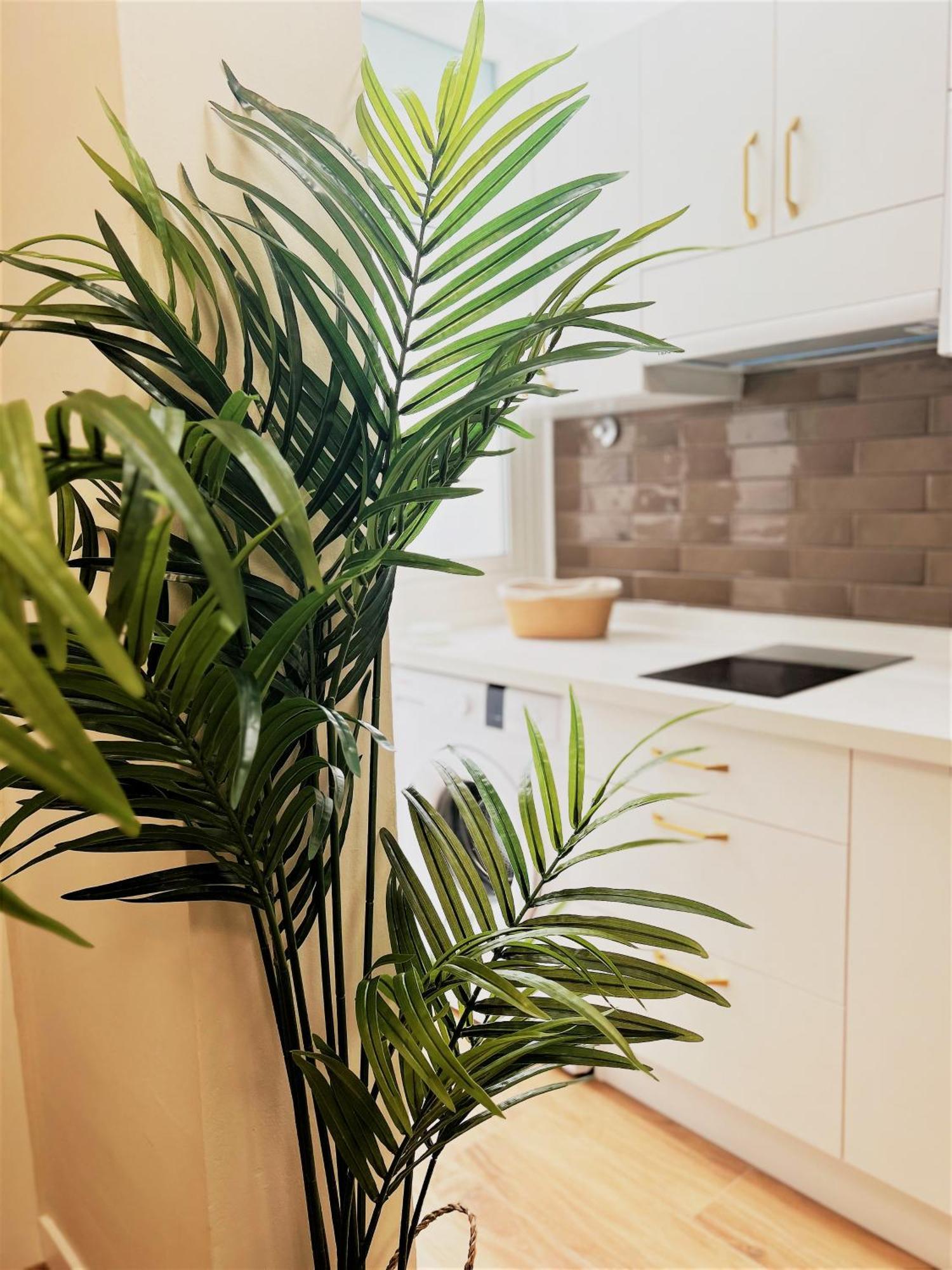 Apartamentos Pepita San Sebastián de la Gomera Exteriör bild